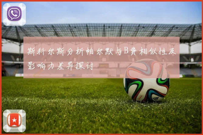 斯科尔斯分析帕尔默与B费相似性及影响力差异探讨