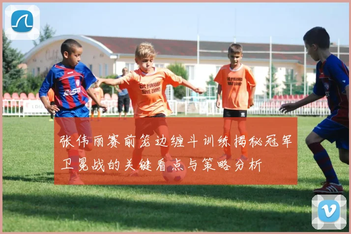 张伟丽赛前笼边缠斗训练揭秘冠军卫冕战的关键看点与策略分析