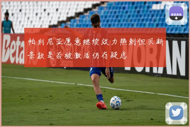 帕利尼亚愿意继续效力热刺但买断条款是否被激活仍存疑虑
